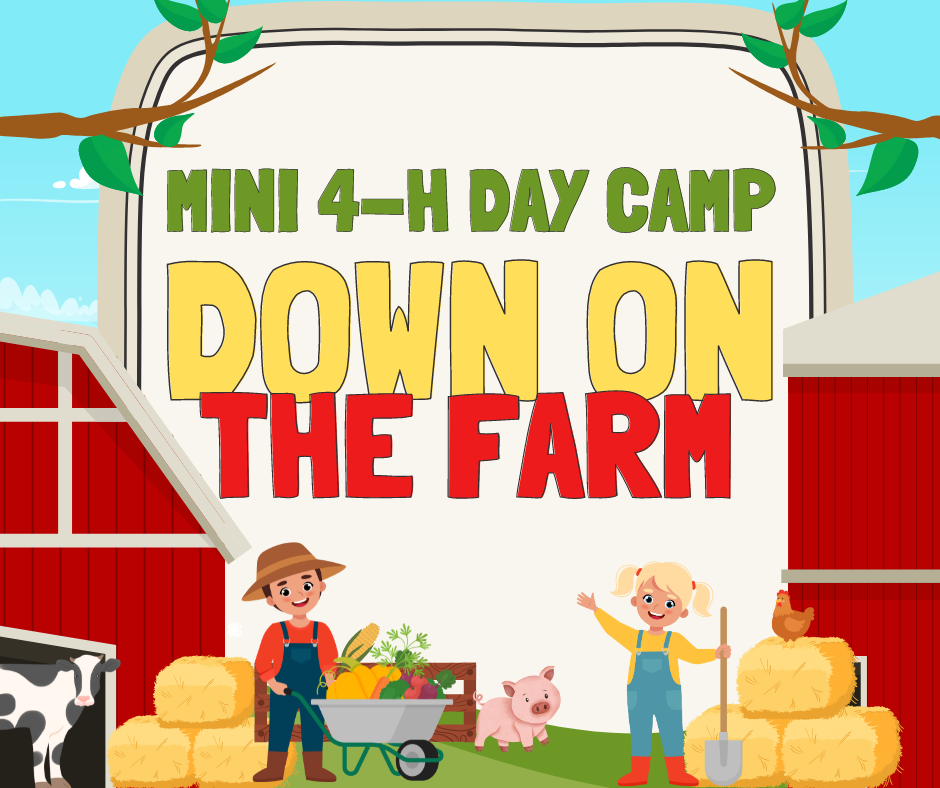 mini day camp
