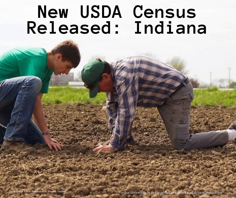 new census indiana
