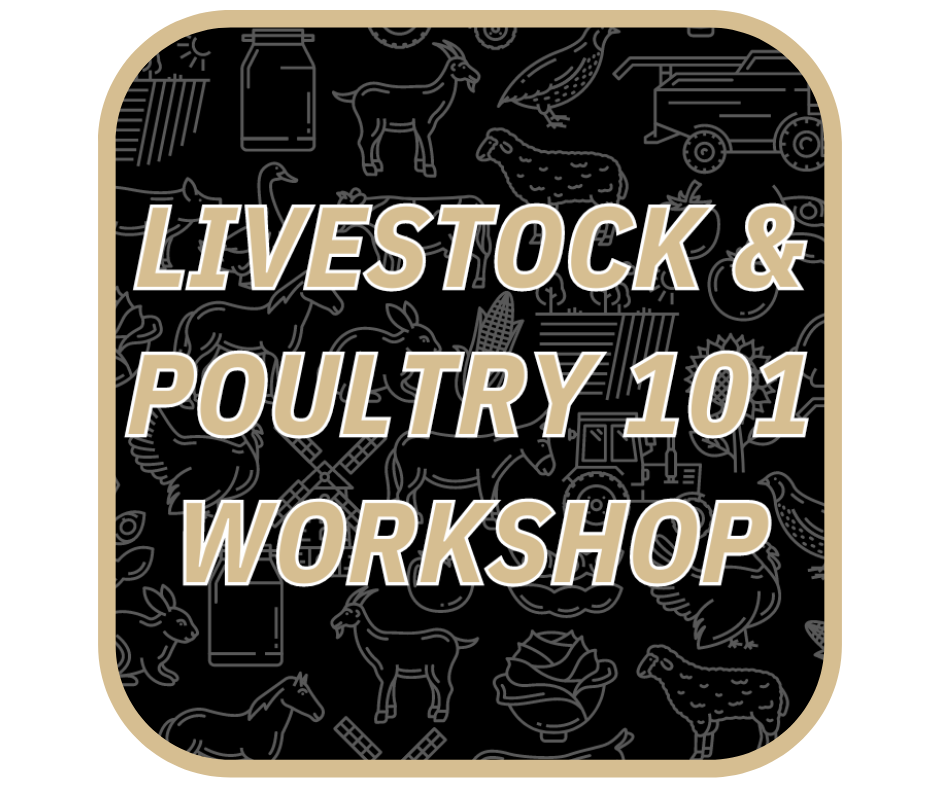 livestock-101-sticker.png