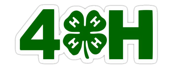4-h-and-clover