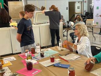 Preserved Food Judge