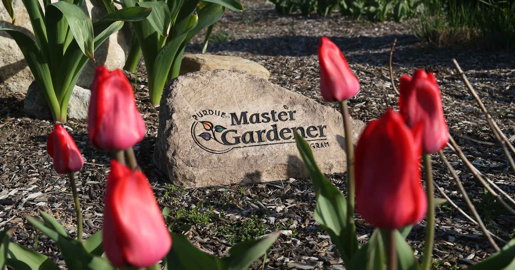 Master Gardener Logo