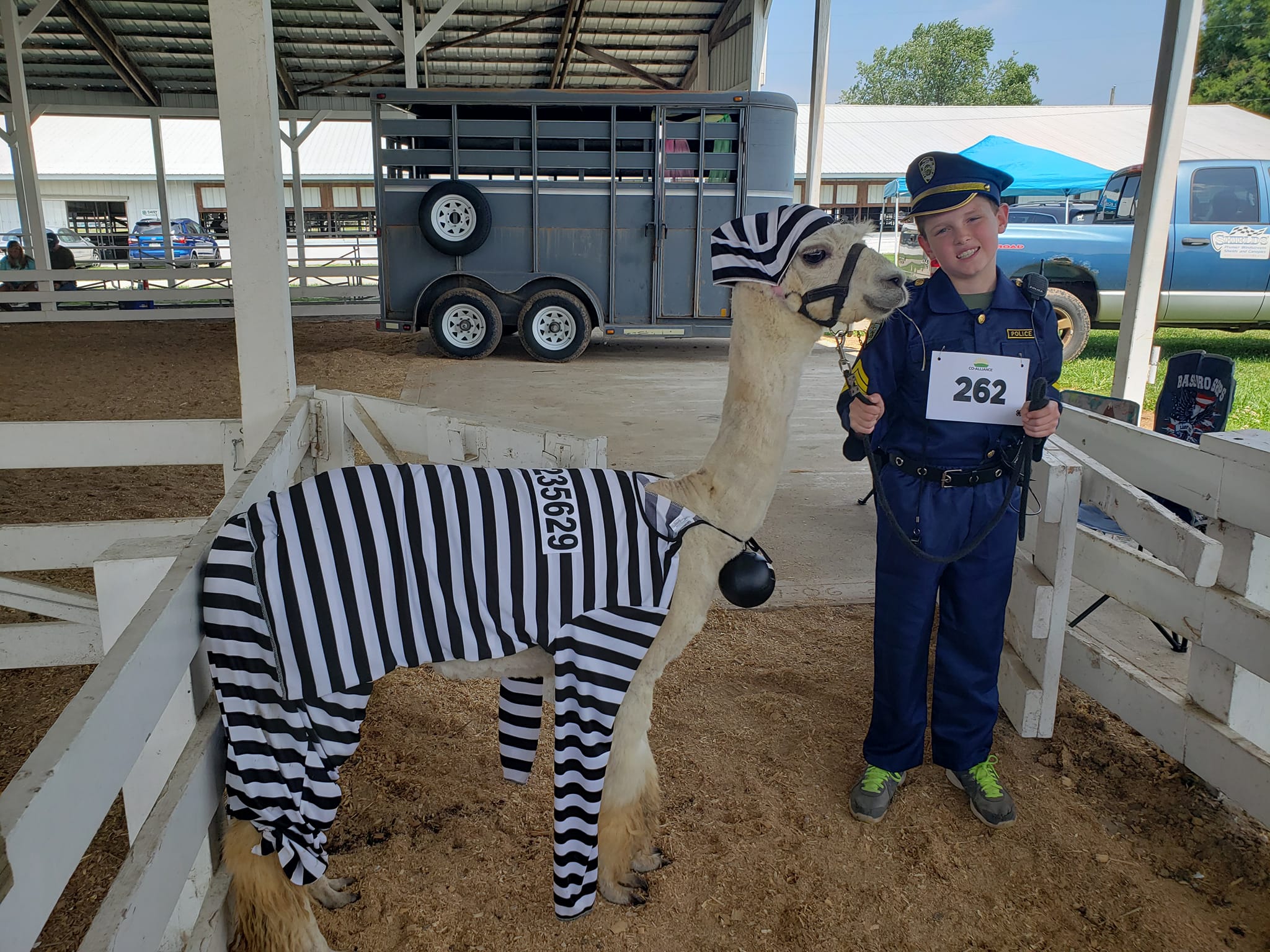Youth dressed up as policeman stands next to his alpaca dressed up as an inmate with striped clothing.