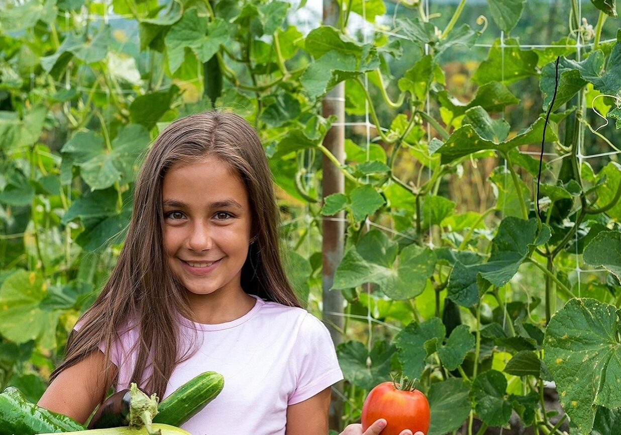 Young girl holding a tomato in a garden.