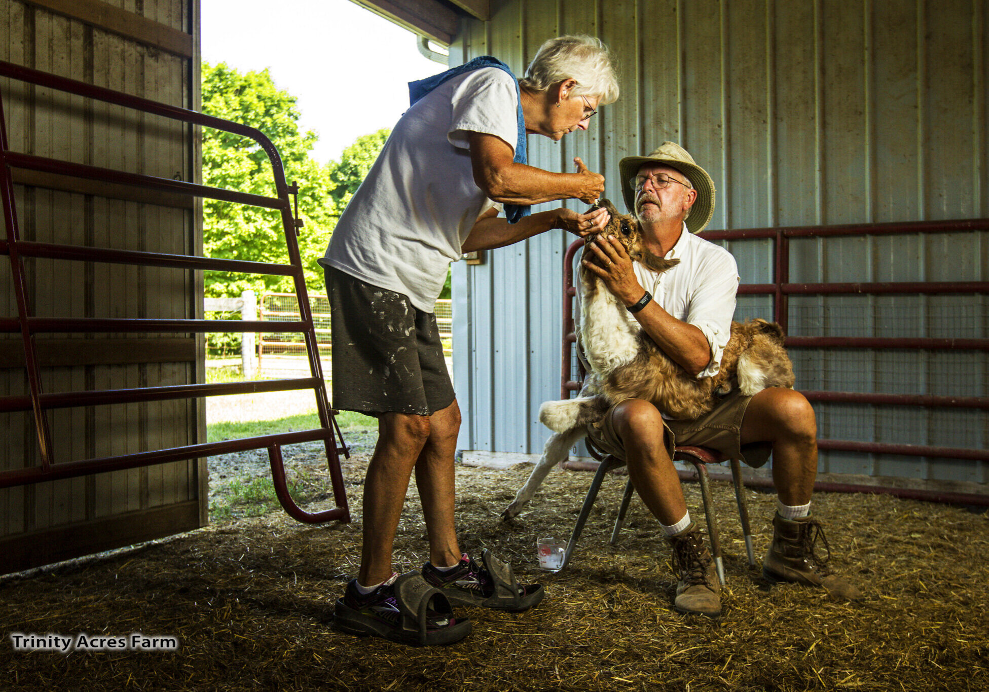 Image of two people in a barn.