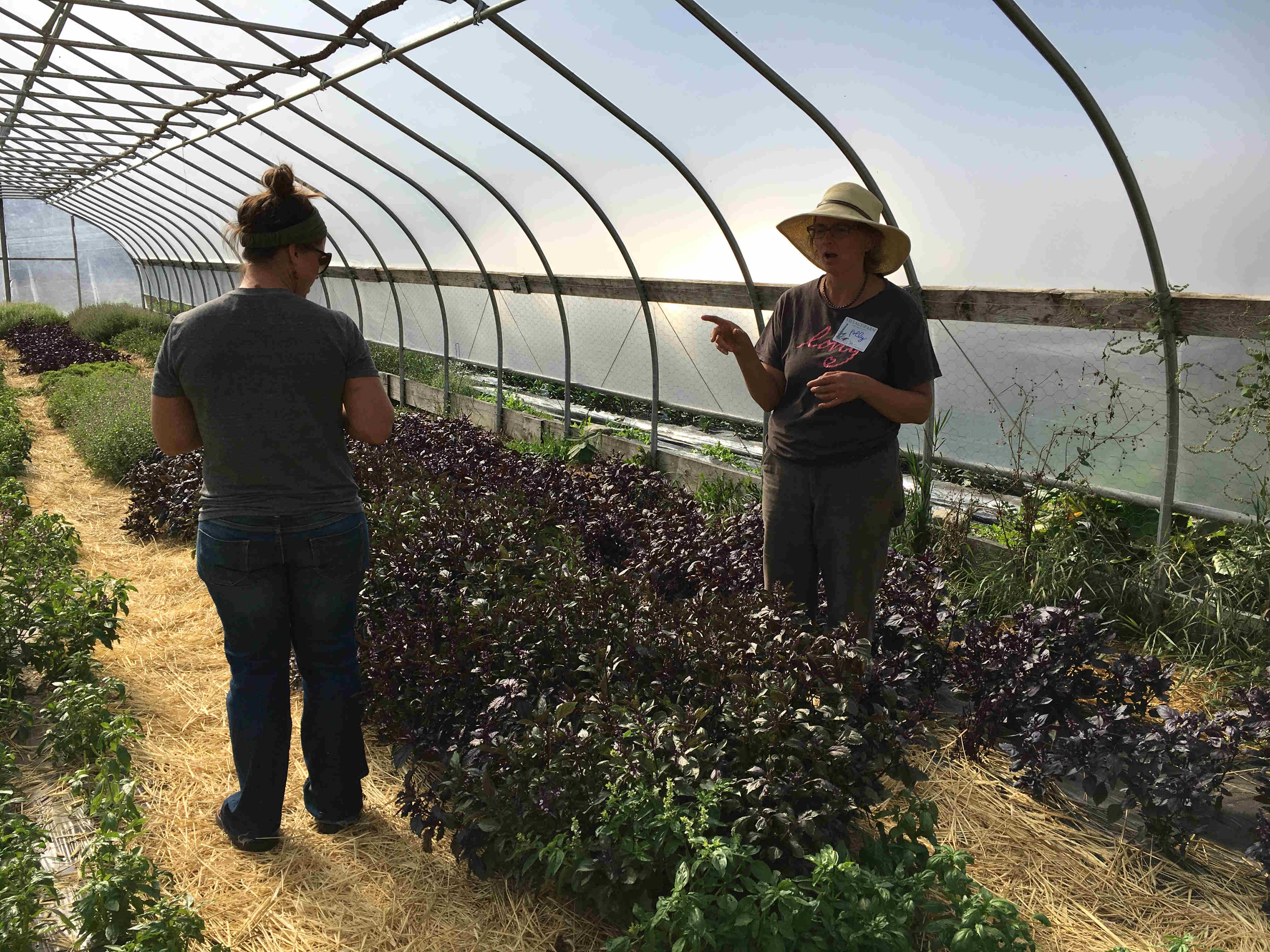 farming photo