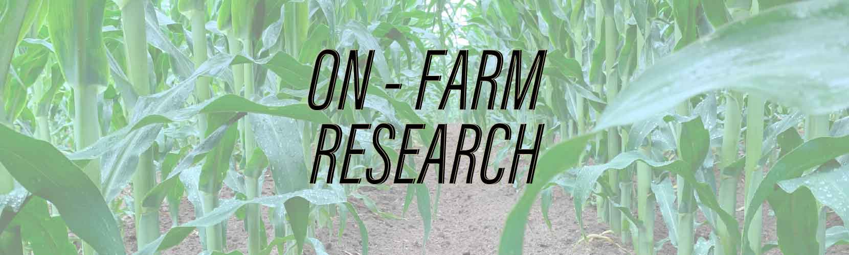 on-farm research discussion