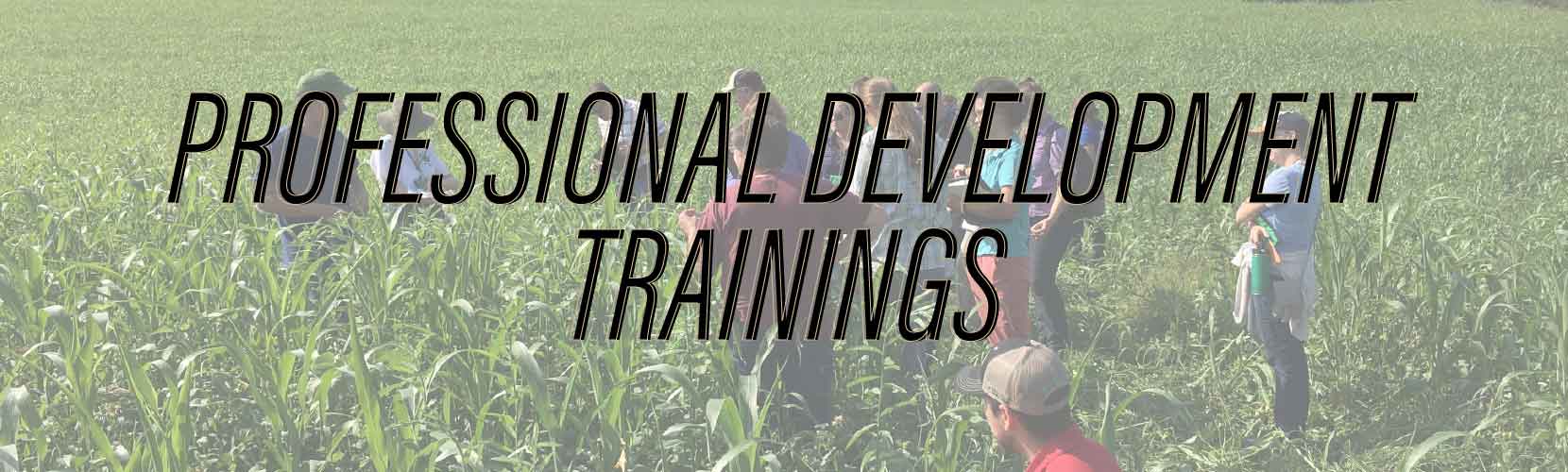 Professional development trainings