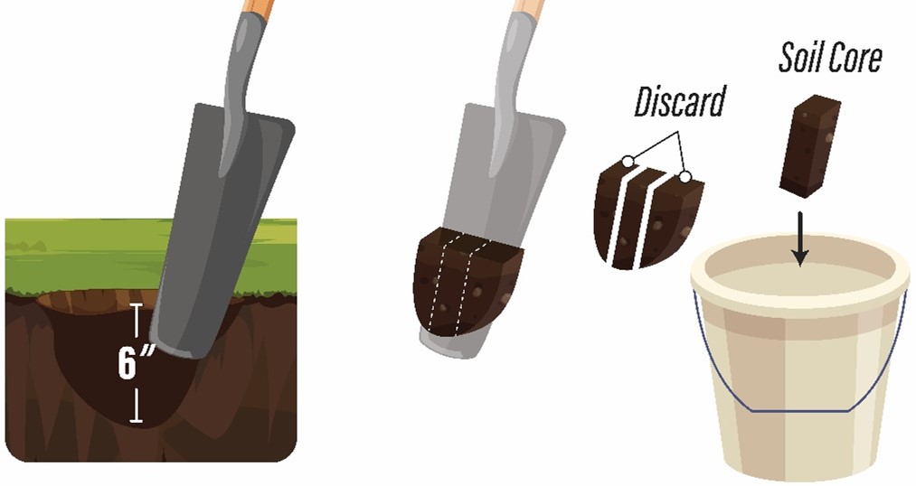 how-to-cut-soil-samples.jpg