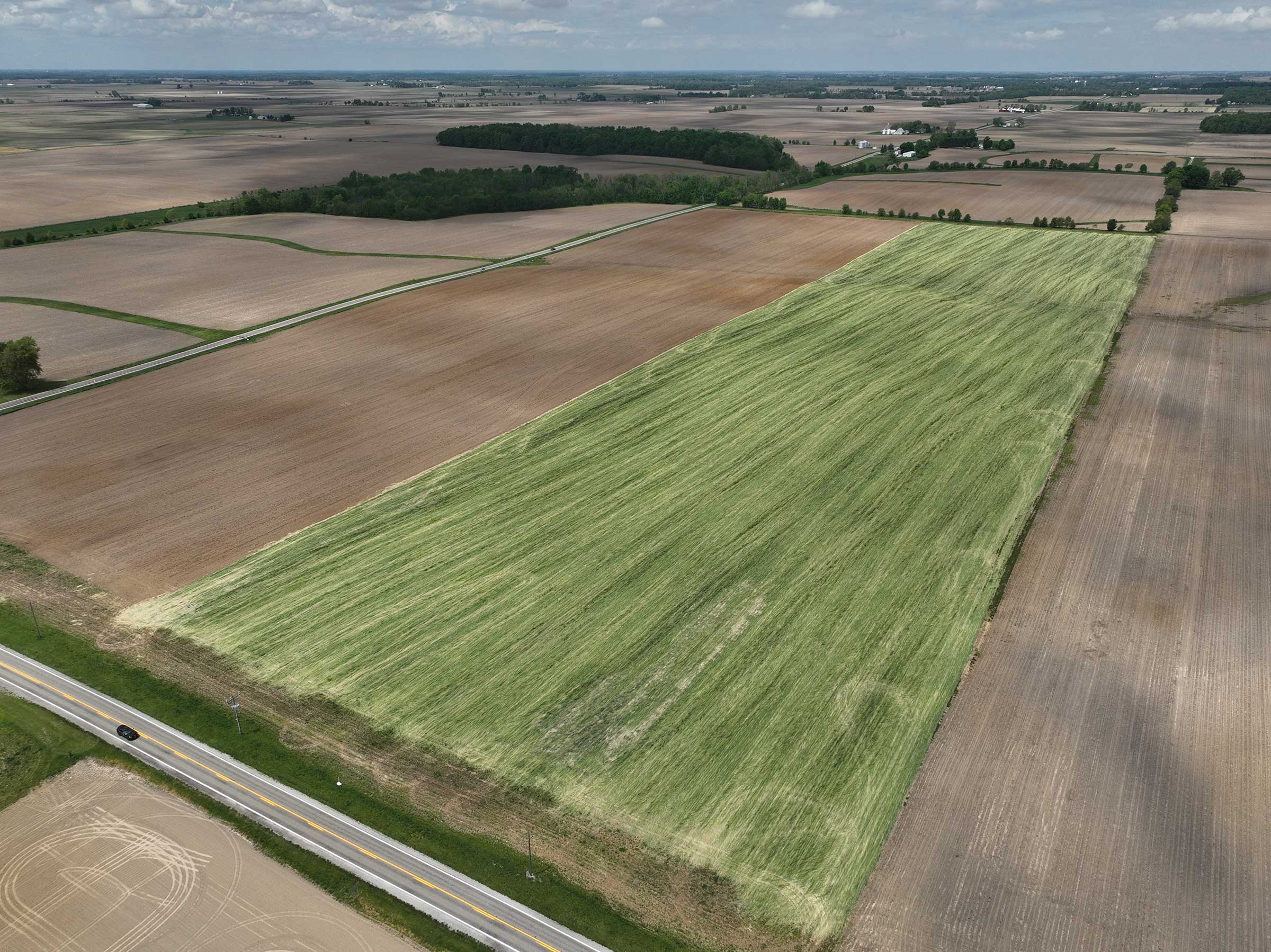 aerial image of farm field with roller crimped cereal rye