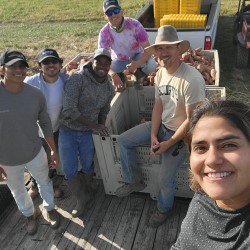 Meyers and team sweetpotato research