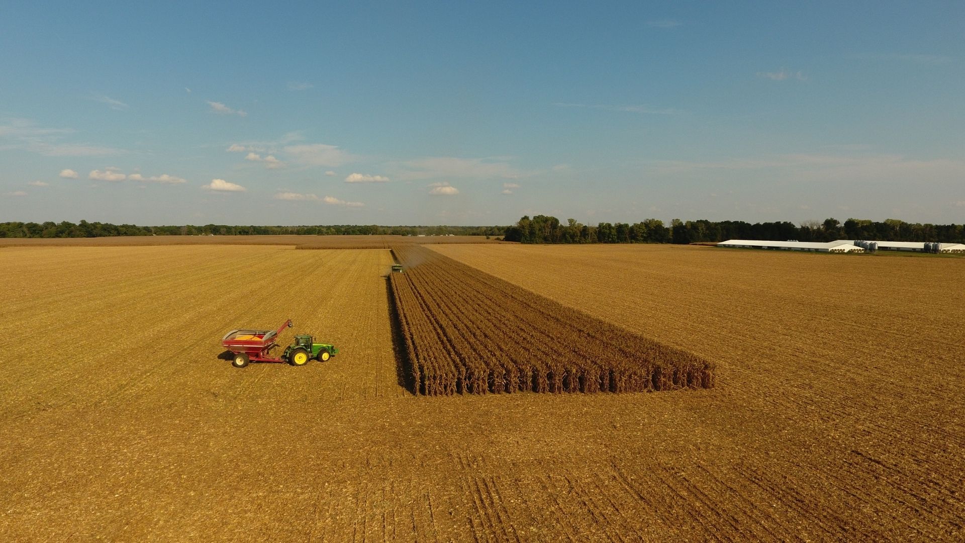 Image of crops being harvested.