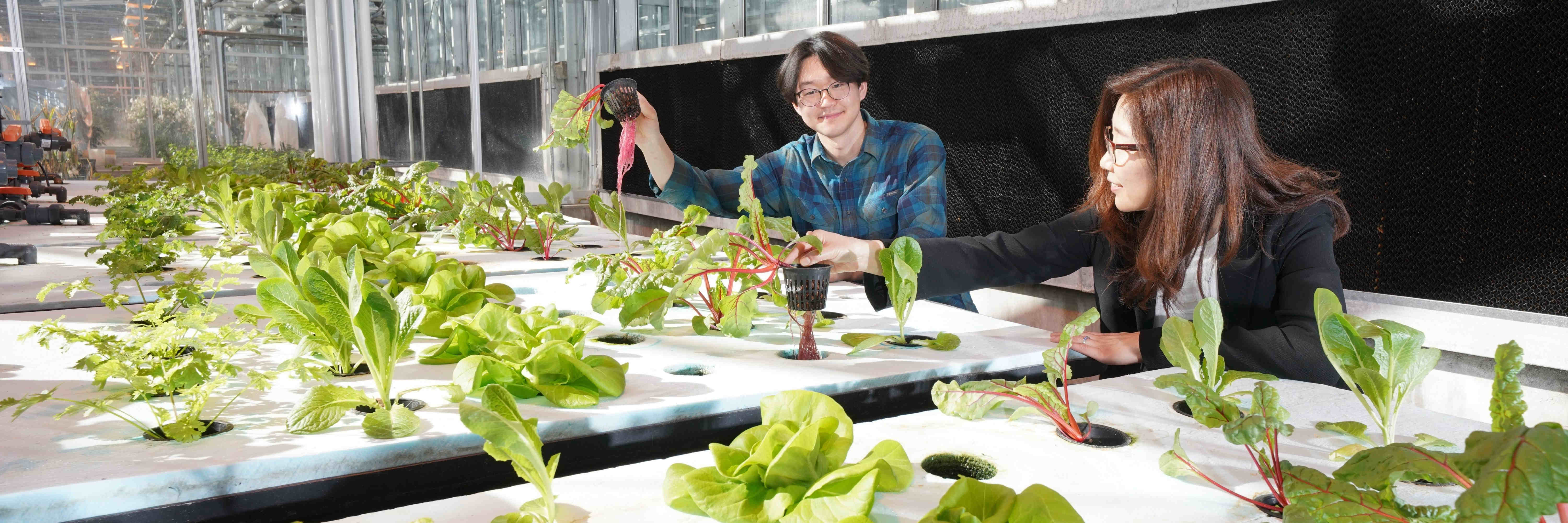 horticulture image of people in a field house