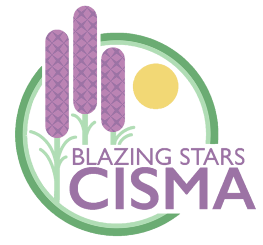 CISMA logo