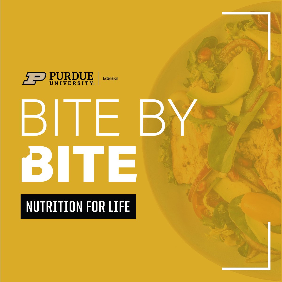 bitebybite