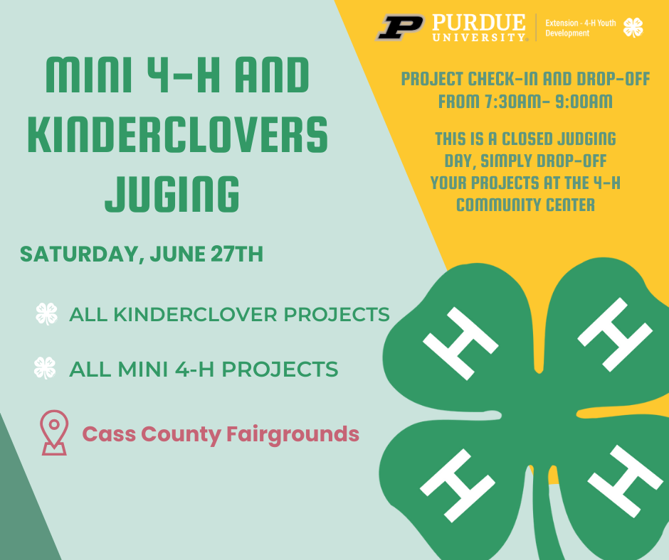 mini and kinder project judging dates