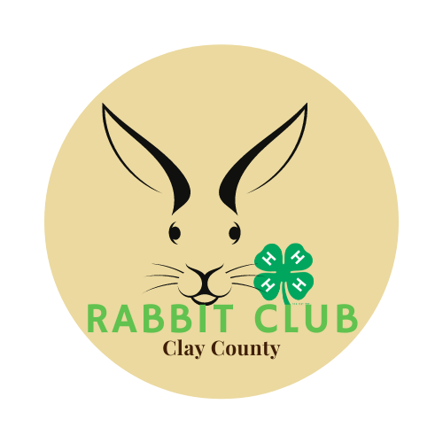 rabbit-logo.png