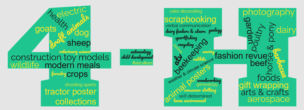 projects-wordcloud.png