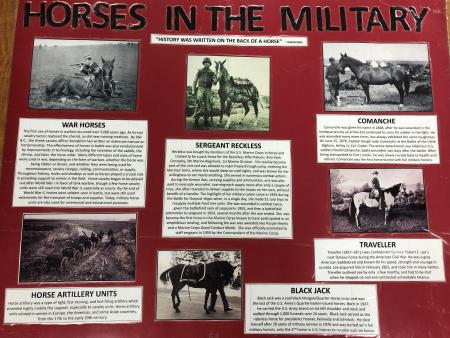 Horse project poster