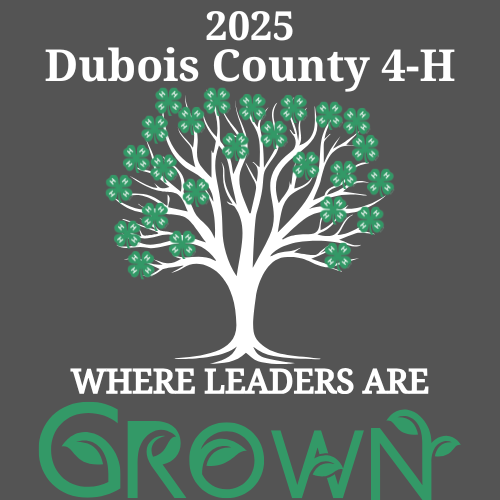 4-H banner