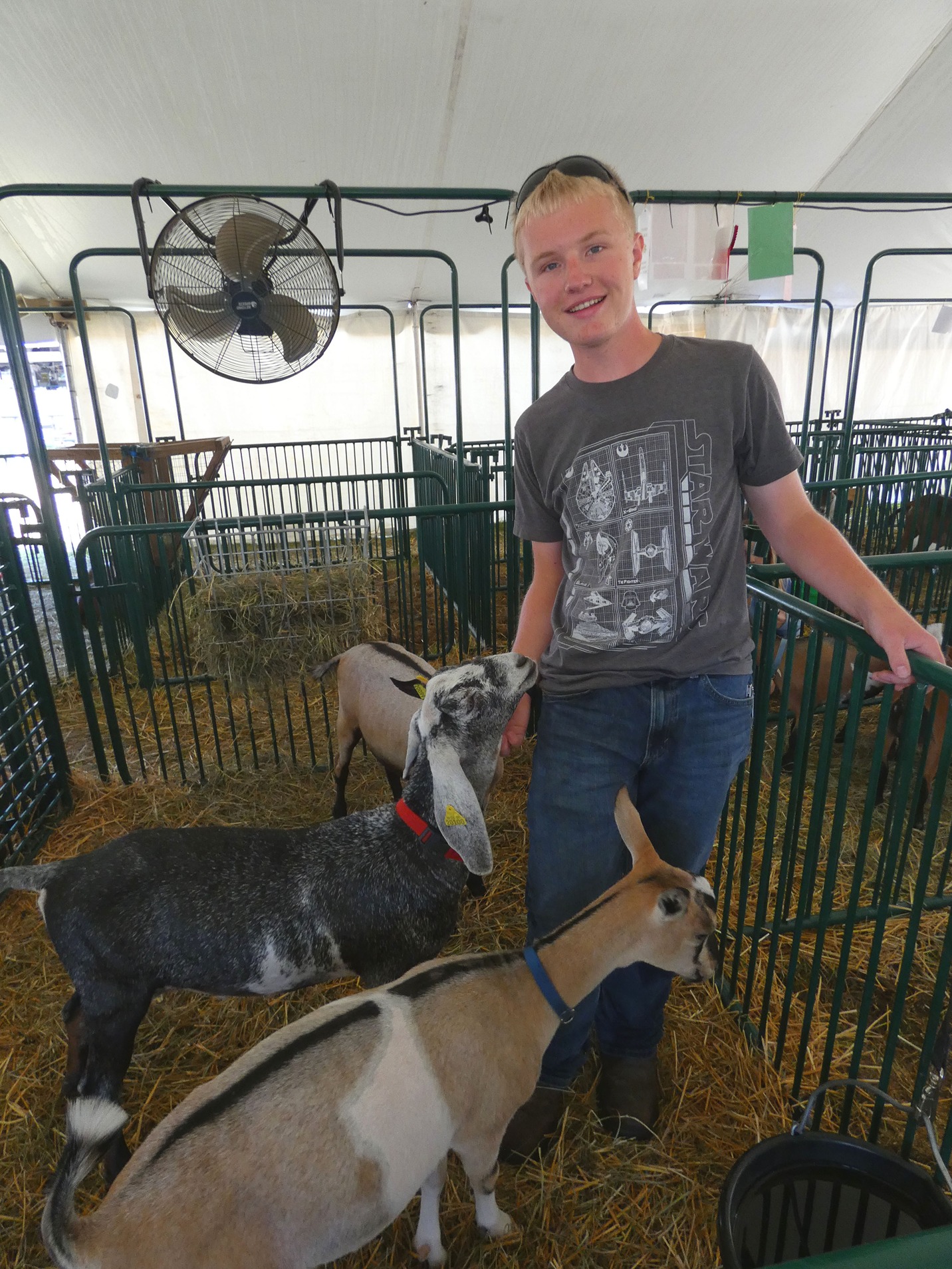4-Her with Goats