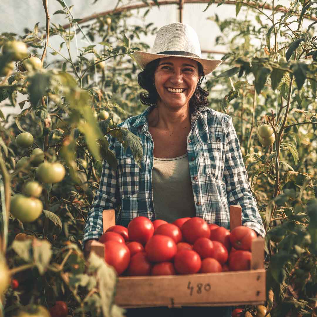 woman holding tomatoes