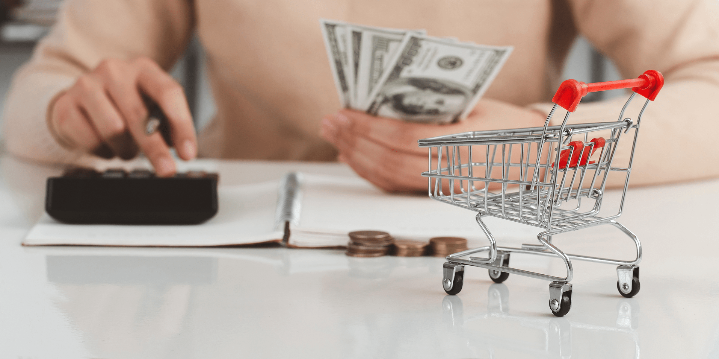 Woman holding money and little shopping cart