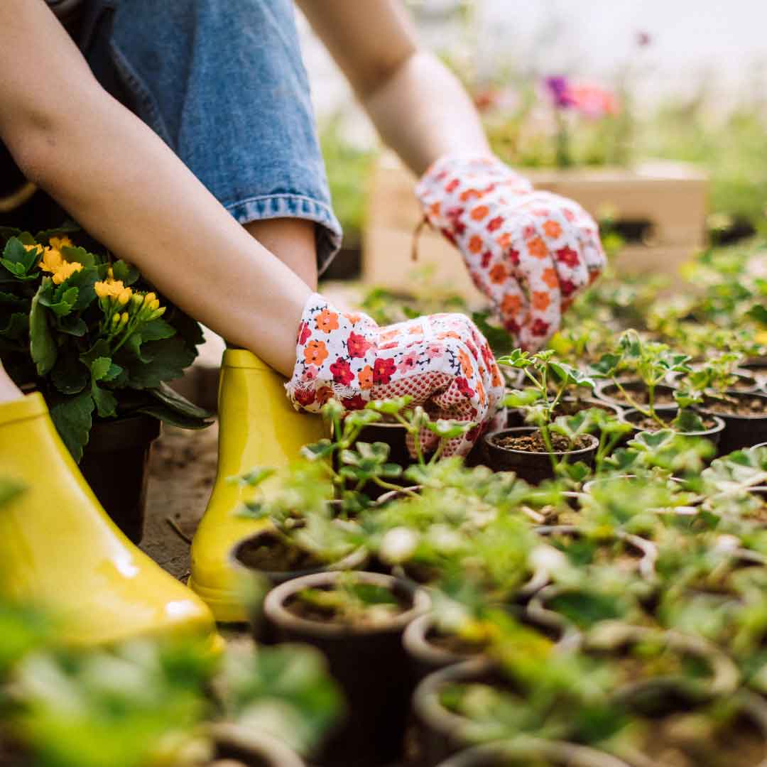 person gardening with glove on