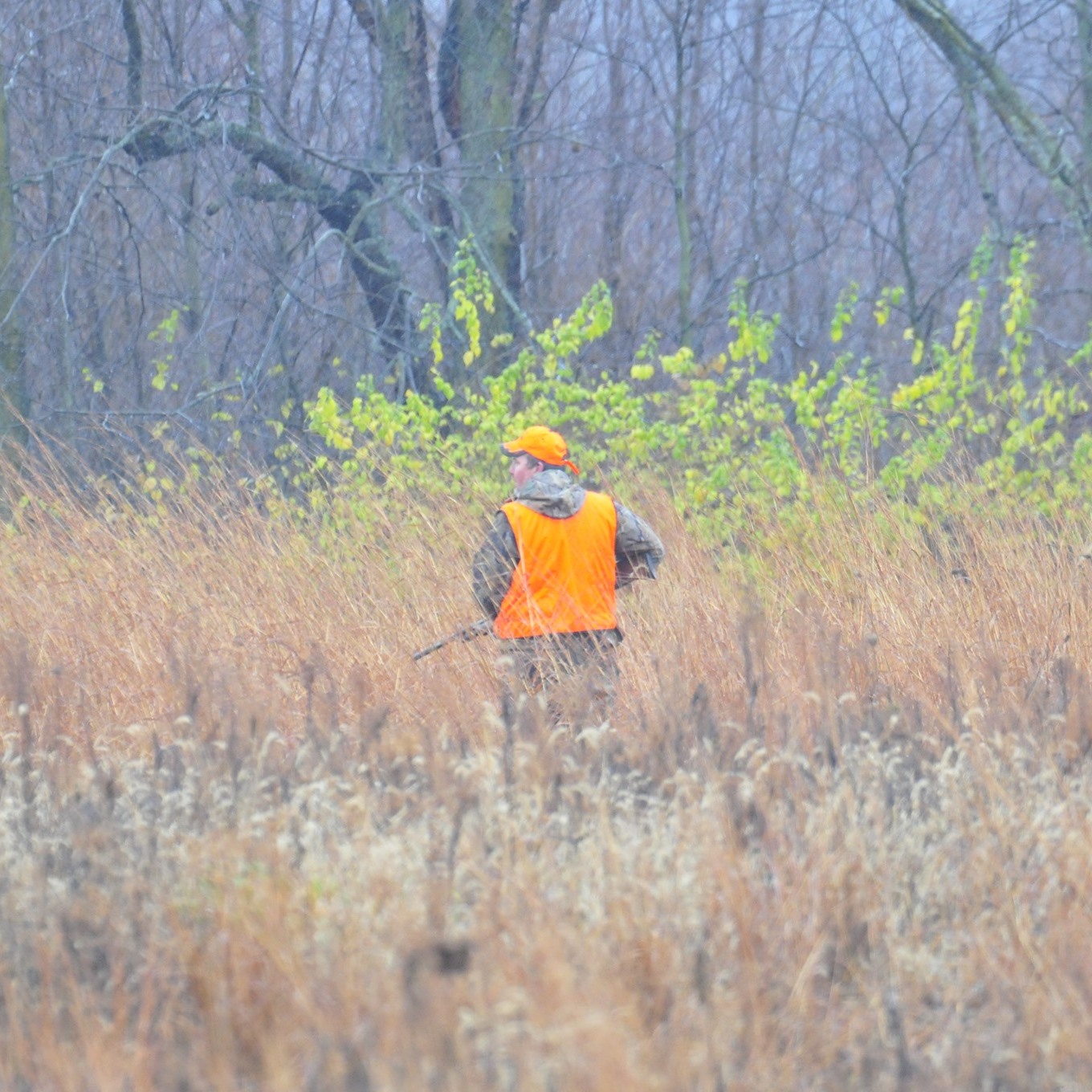 hunting-photo-from-dnr-website.jpg