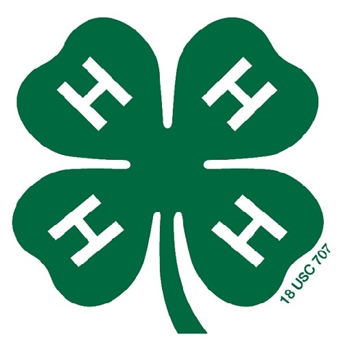 4-H Open House 