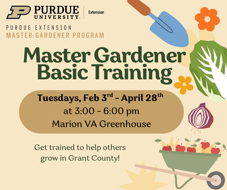 basic training flyer
