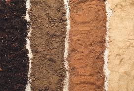 Soil Types 