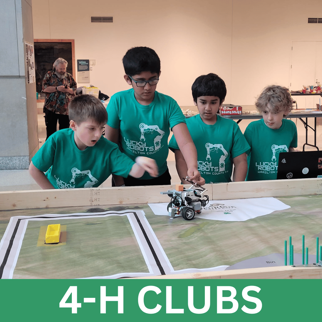 4-H clubs