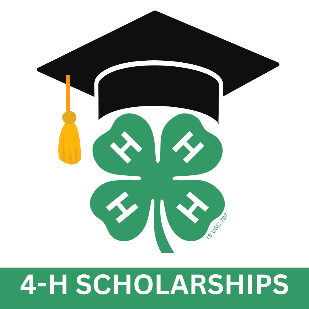 scholarships