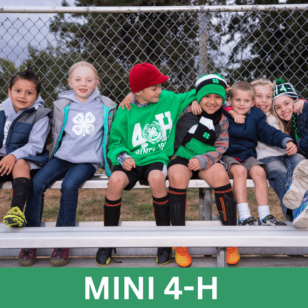 mini 4-H