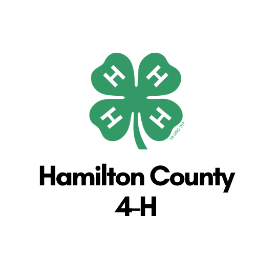 new-to-hamilton-county-4-h