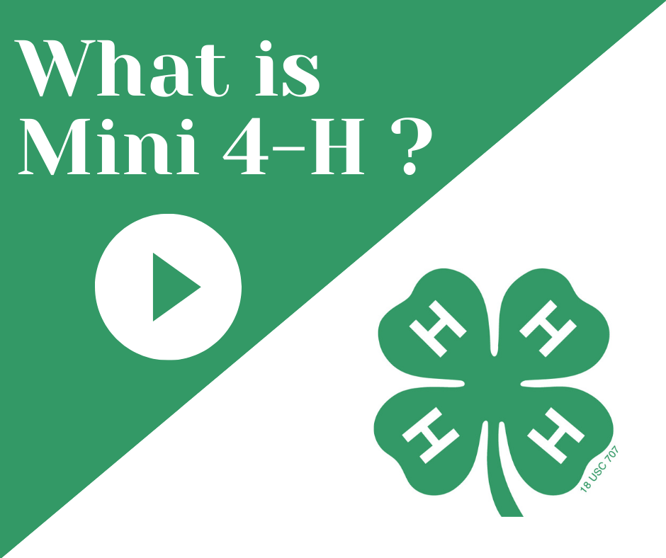 What-is-Mini-4-H.png
