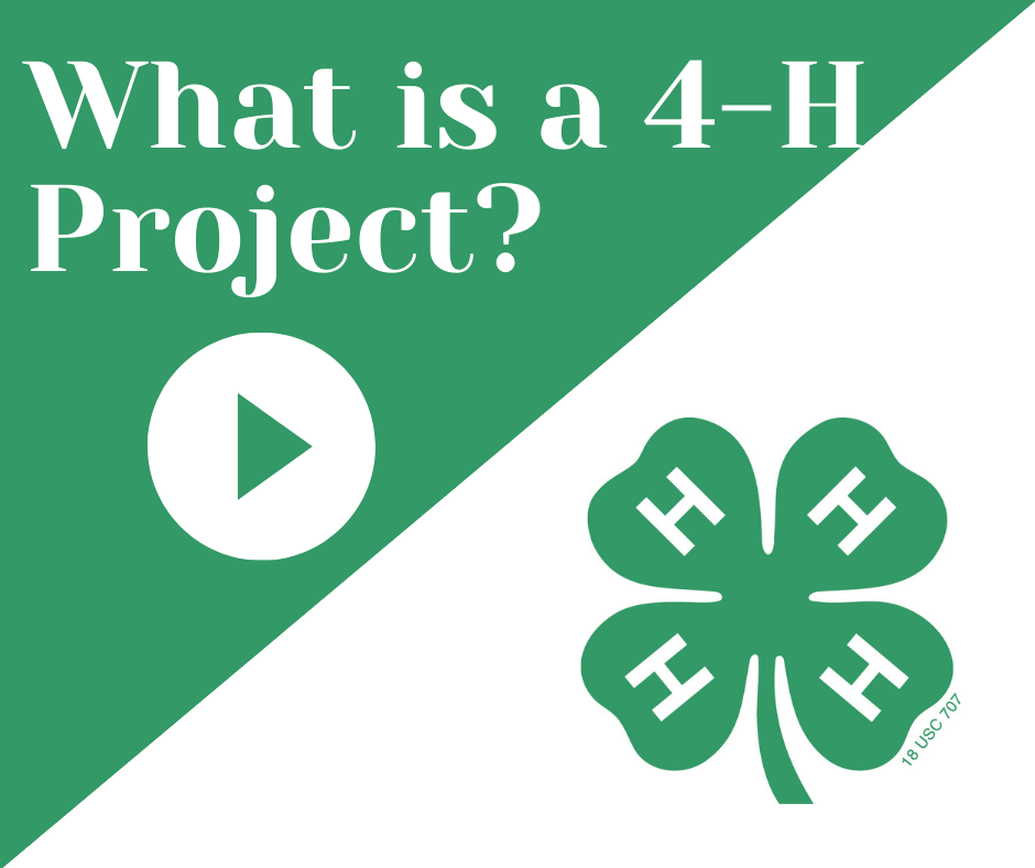 What-is-a-4-H-Project.png