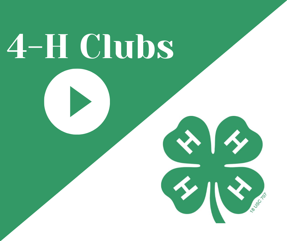 _4-H-Clubs.png