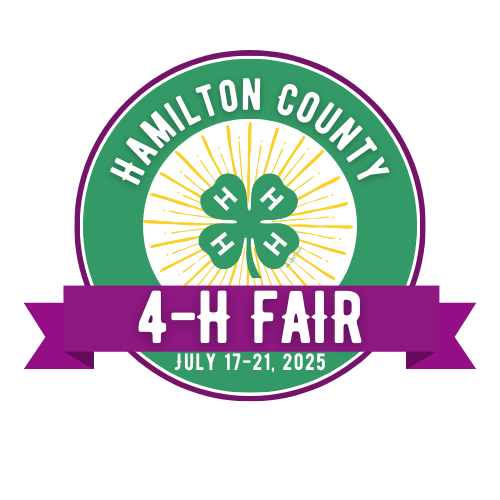 2025 logo