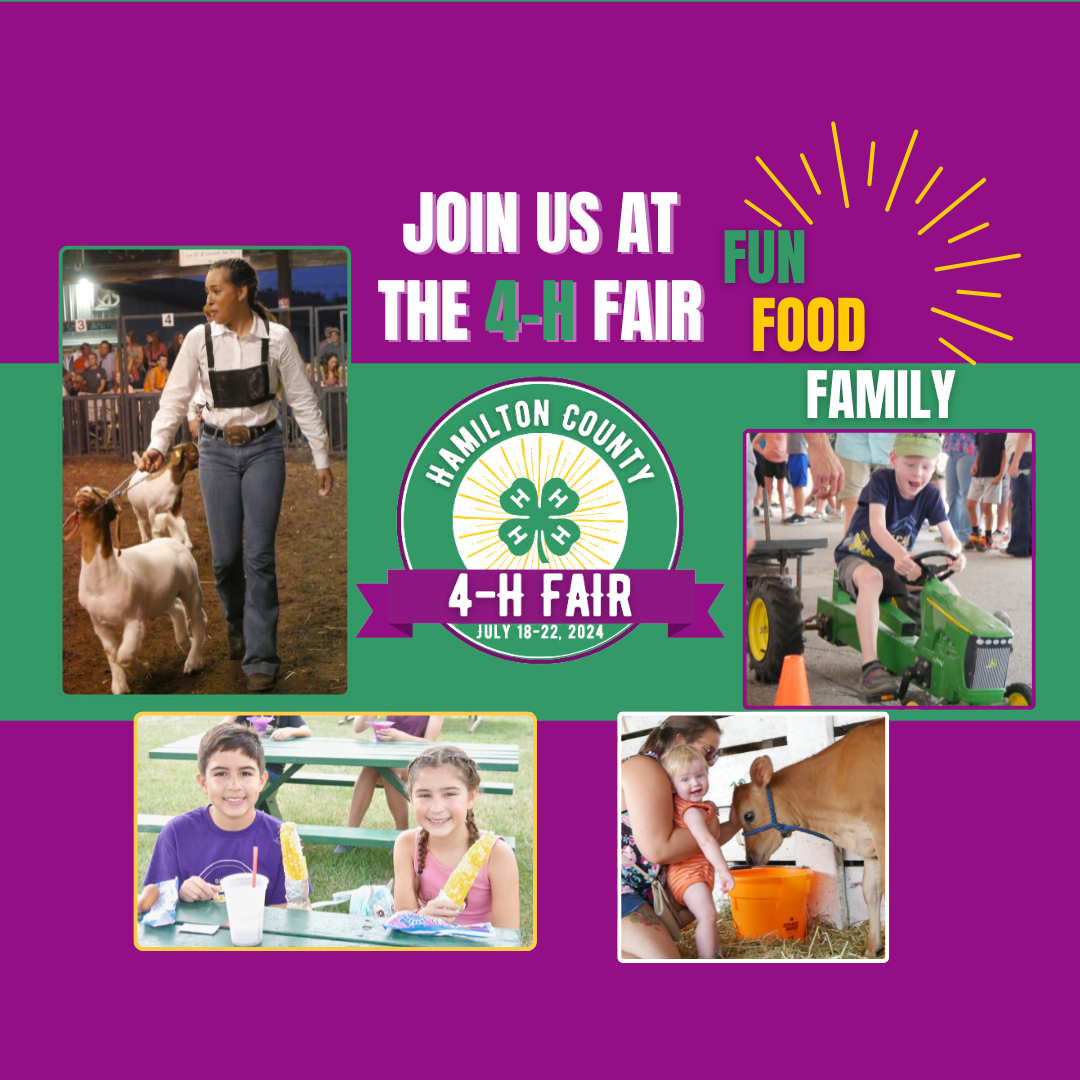 Hamilton County 4H Fair Visitor Information