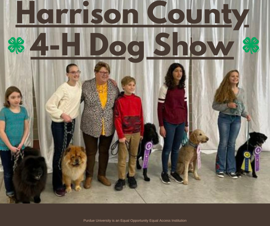 Our Harrison County  4-H Dog Show took place November 13th! Congratulations to all our handlers. You've worked hard and it showed! (Obedience came down to a half point tie breaker!) A special thank you to our judge, Sue Pfrank  and our leader Theresa Stilger who coached everyone to perfection, and to the parents and volunteers. Watch for upcoming dog events after the holidays!