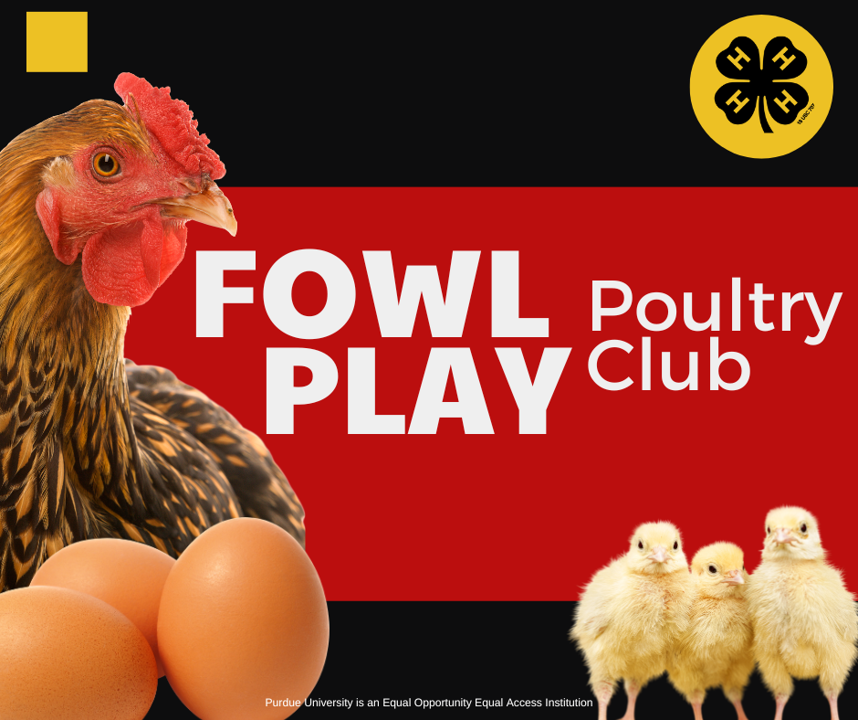 fowl play
