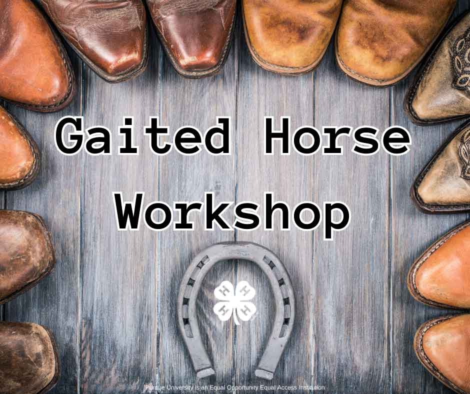 gaited workshop