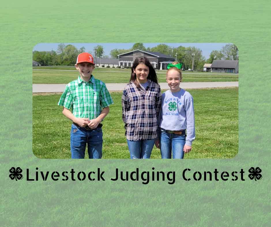 livestock judging contest