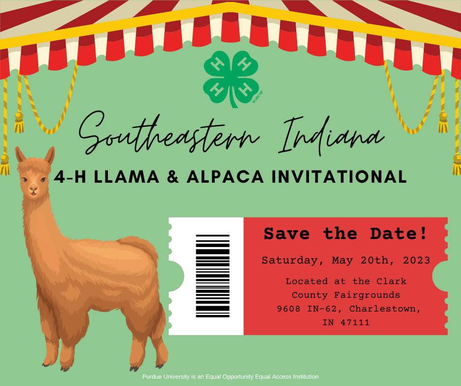 Southeastern Indiana 4-H LLama and Alpace Invitational