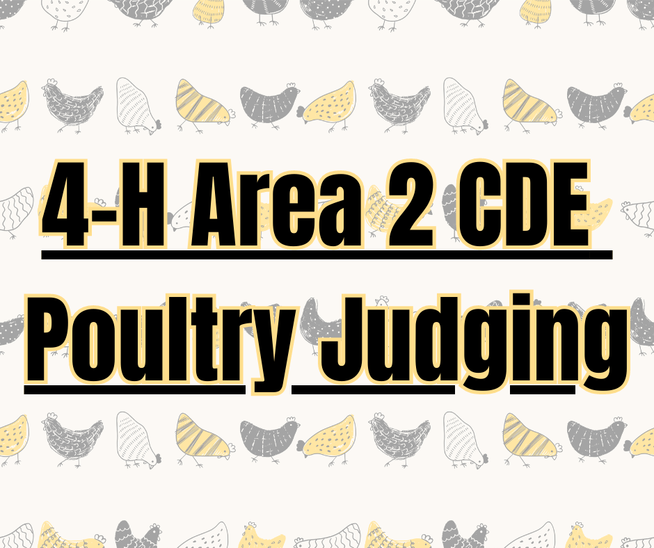 poultry judging