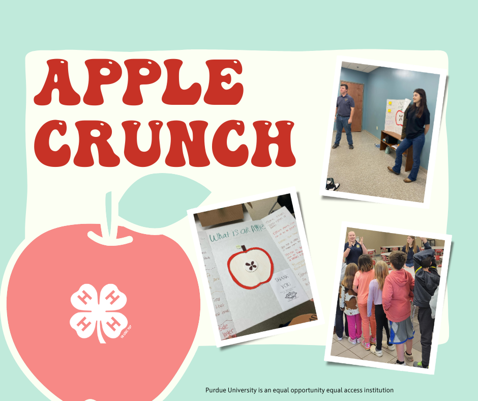 apple crunch