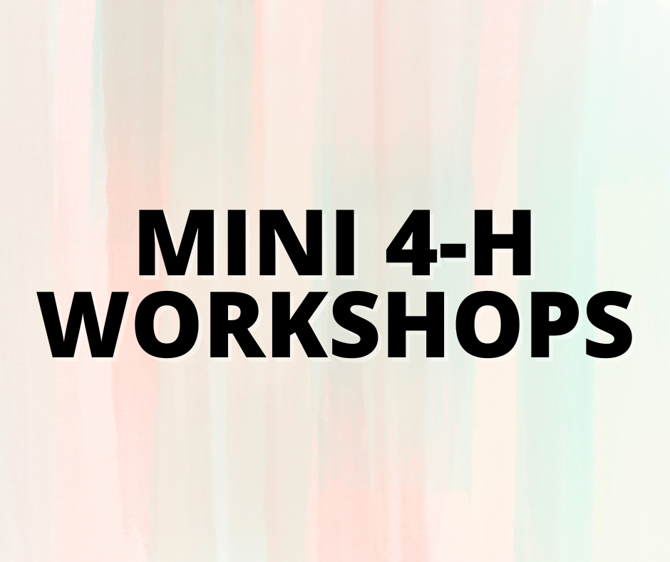 mini workshops