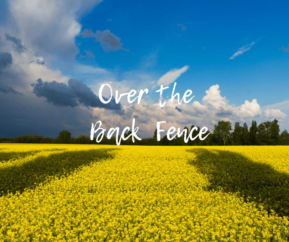 Latest ANR Newsletter